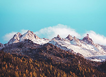 开云平台：引领企业数字化转型的新引擎