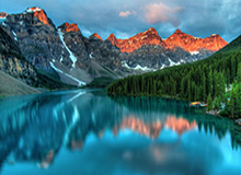 九游官网：开启游戏新世界的官方之选